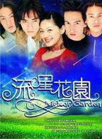 《流星花园2001》电视剧免费在线观看国语完整版全集