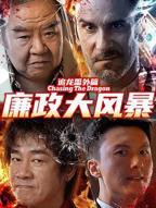 《追龙番外篇之廉政大风暴》电影免费在线观看完整版HD中字高清全集